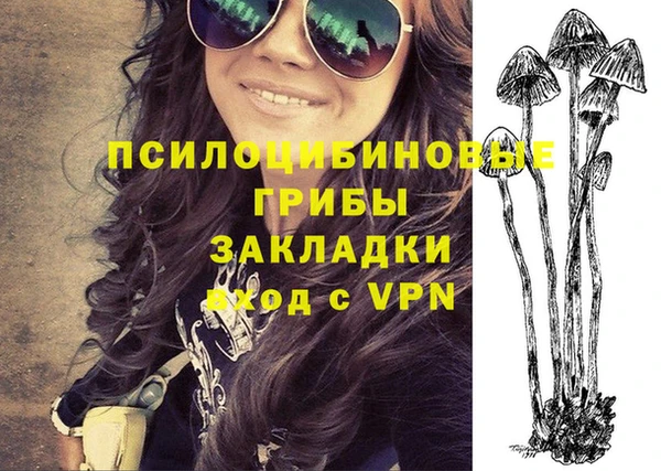 ешки Абаза